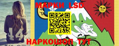 дмт Новокубанск