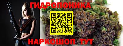дмт Новокубанск