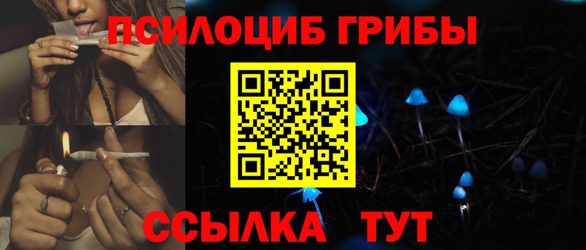 Галлюциногенные грибы Cubensis  Вход с VPN  Псилоцибиновые грибы Psilocybe  Сунжа 