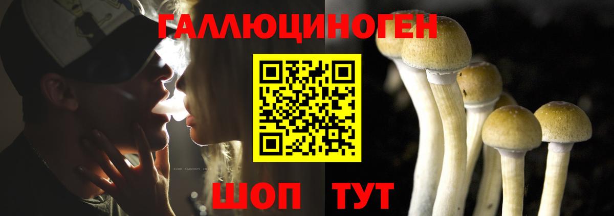 Псилоцибиновые грибы мухоморы Сунжа